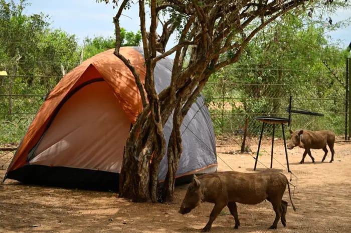 Camping Experience in Akagera - Photo 2