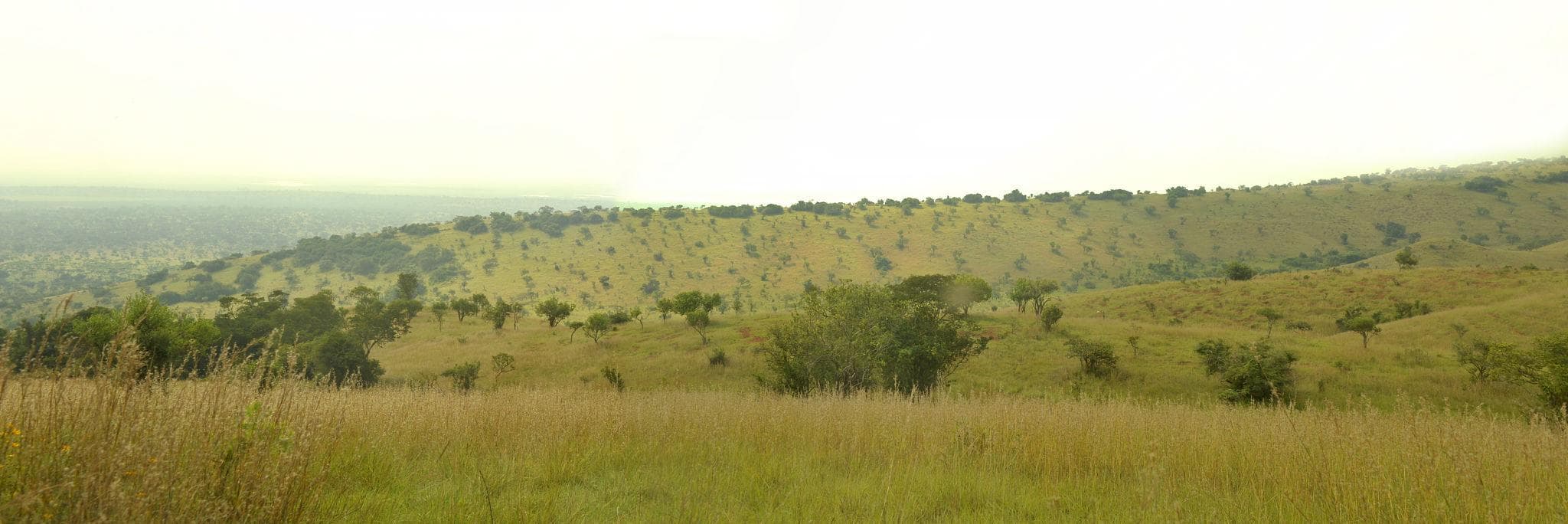 Mutumba Hills - Photo 2