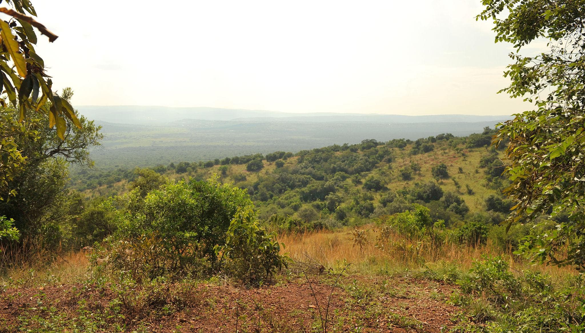 Akagera National Park - Akagera National Park