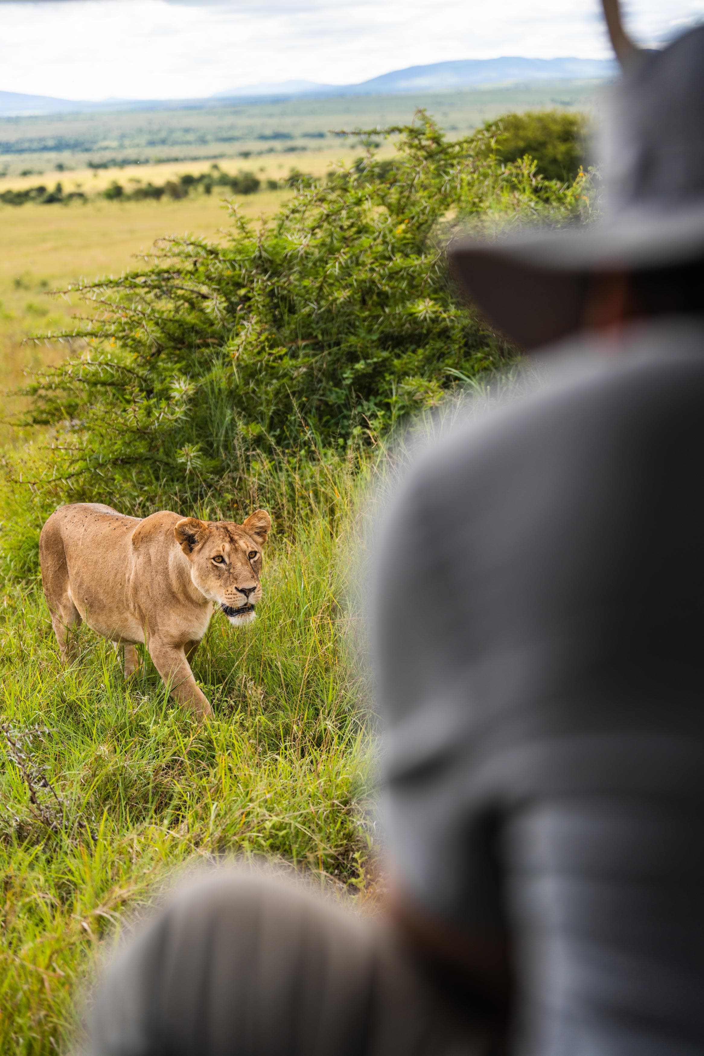 Photography Tours in Akagera - Photo 2