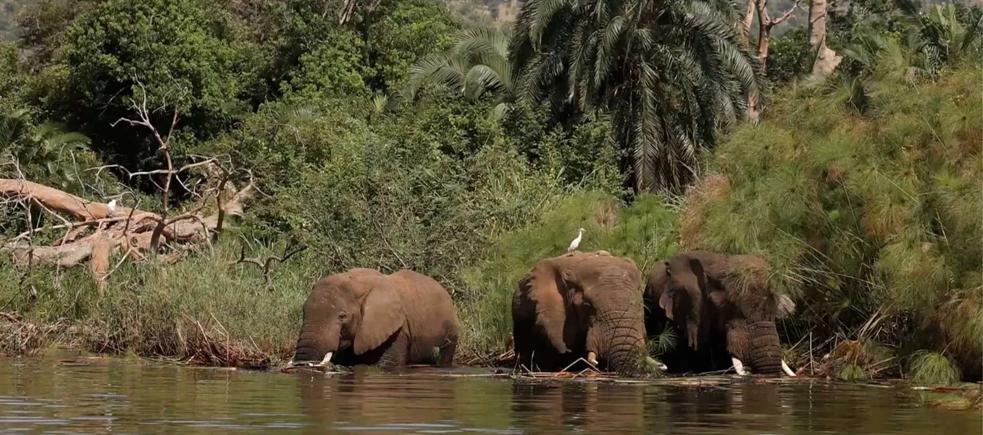 3 Days Wildlife Adventure